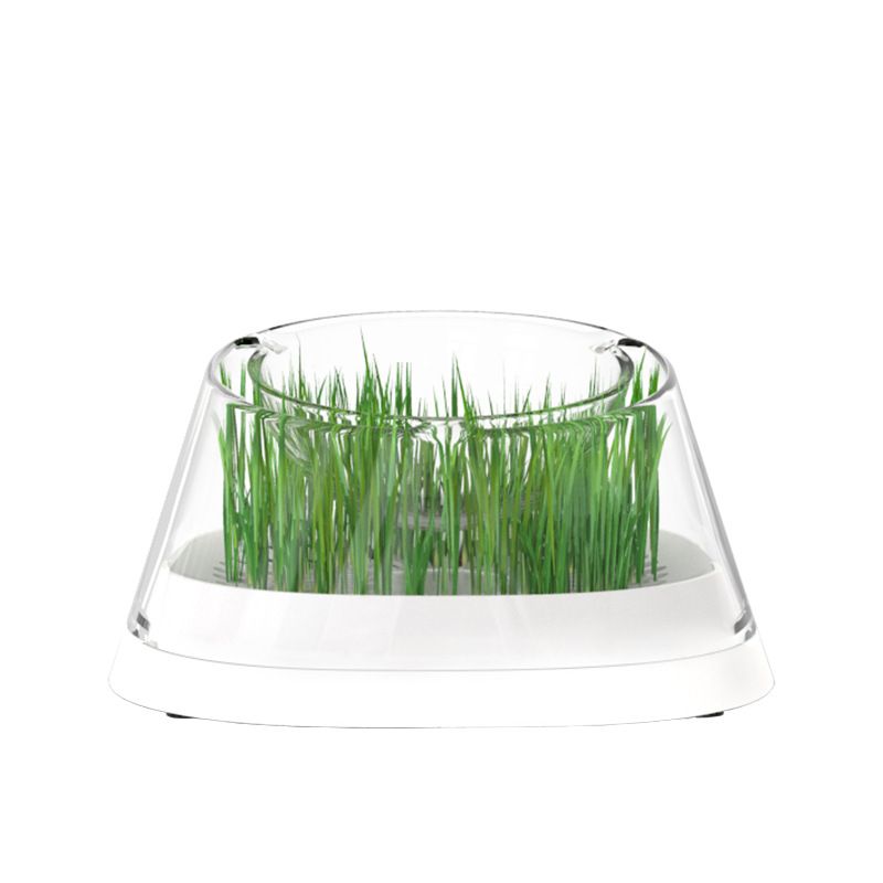 Secret Forest Cat Bowl with Cat Grass