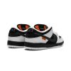 TIGHTBOOTH x Dunk Low SB FD2629-100