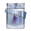 Frozen 2 Princess Anna and Elsa Bedding Set