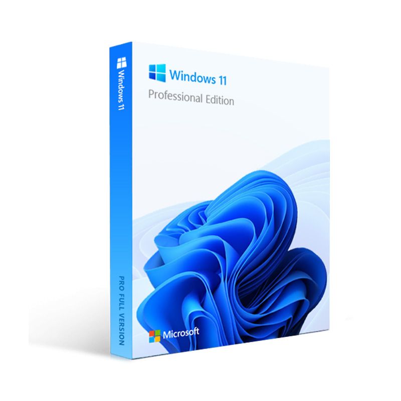 Windows 11 Professional License Key