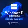 Windows 11 Professional Product Key